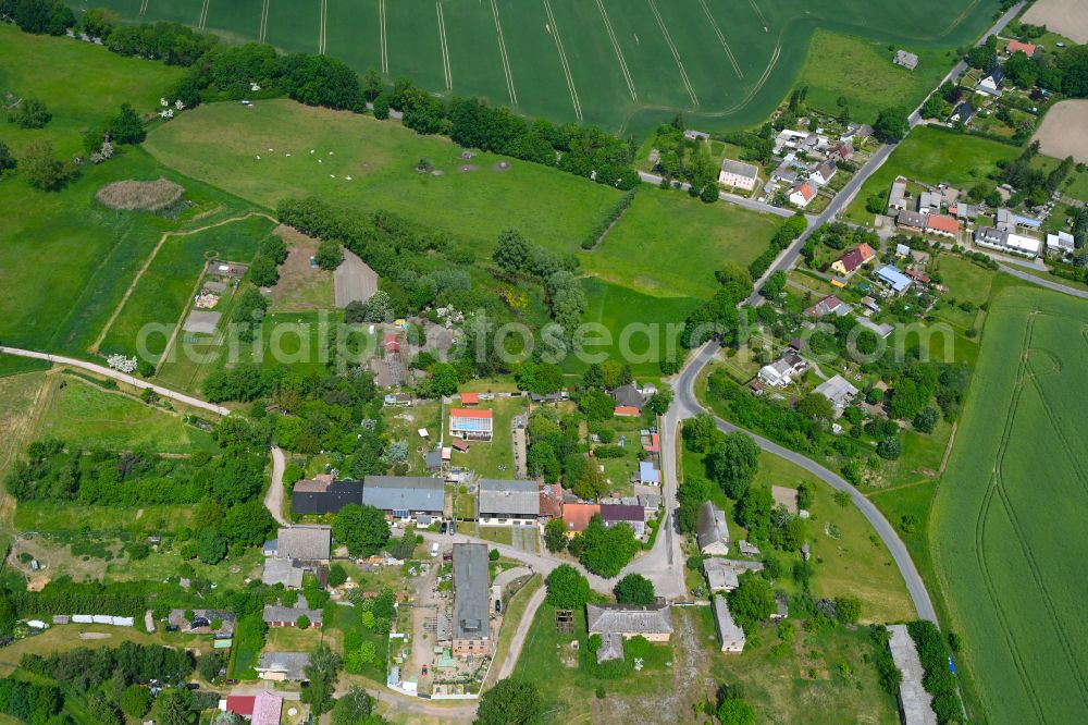 Badingen from above - Agricultural land and field boundaries surround the settlement area of the village in Badingen in the state Brandenburg, Germany