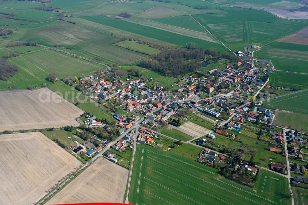 Aerial photograph Badingen - Agricultural land and field boundaries surround the settlement area of the village in Badingen in the state Saxony-Anhalt, Germany