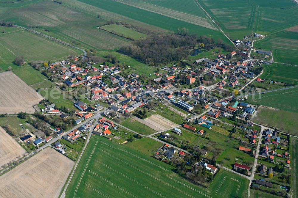 Badingen from above - Agricultural land and field boundaries surround the settlement area of the village in Badingen in the state Saxony-Anhalt, Germany