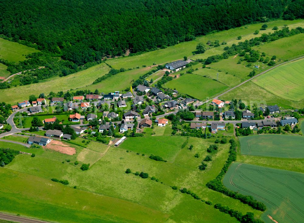 Bahnhof Langmeil from above - Agricultural land and field boundaries surround the settlement area of the village in Bahnhof Langmeil in the state Rhineland-Palatinate, Germany