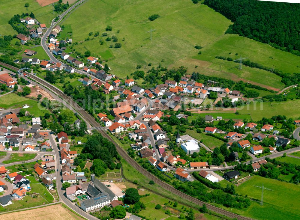 Bahnhof Langmeil from the bird's eye view: Agricultural land and field boundaries surround the settlement area of the village in Bahnhof Langmeil in the state Rhineland-Palatinate, Germany