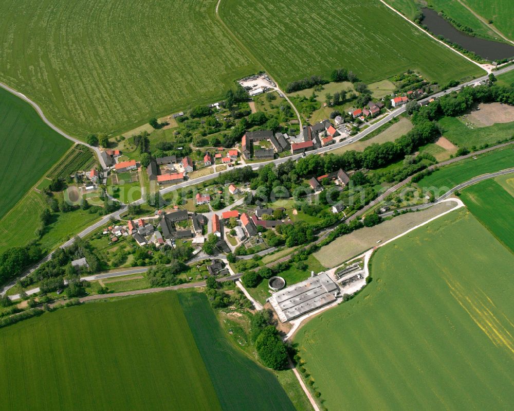 Aerial photograph Baldenhain - Agricultural land and field boundaries surround the settlement area of the village in Baldenhain in the state Thuringia, Germany