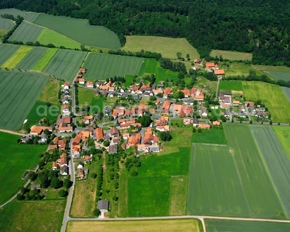 Barlissen from above - Agricultural land and field boundaries surround the settlement area of the village in Barlissen in the state Lower Saxony, Germany