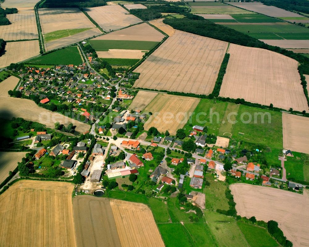 Aerial photograph Basedow - Agricultural land and field boundaries surround the settlement area of the village in Basedow in the state Schleswig-Holstein, Germany