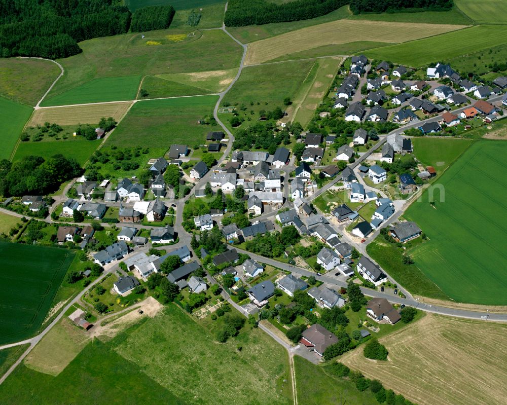 Basselscheid from the bird's eye view: Agricultural land and field boundaries surround the settlement area of the village in Basselscheid in the state Rhineland-Palatinate, Germany