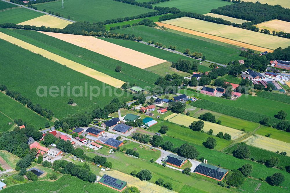 Aerial image Beckhusen - Agricultural land and field boundaries surround the settlement area of the village in Beckhusen in the state Lower Saxony, Germany