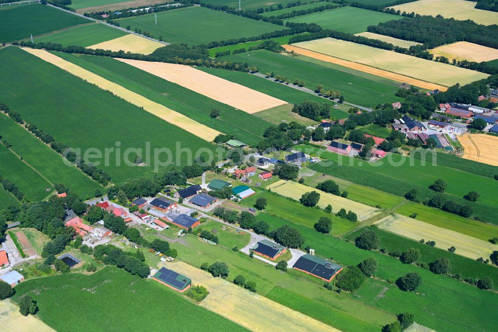 Aerial photograph Beckhusen - Agricultural land and field boundaries surround the settlement area of the village in Beckhusen in the state Lower Saxony, Germany