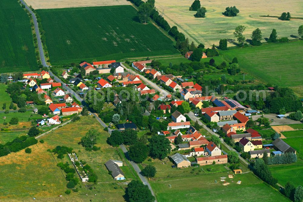 Aerial photograph Beelitz - Agricultural land and field boundaries surround the settlement area of the village in Beelitz in the state Brandenburg, Germany