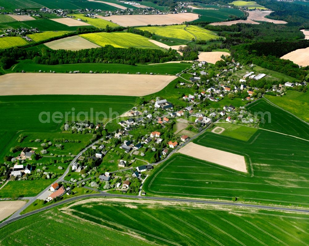 Beerwalde from above - Agricultural land and field boundaries surround the settlement area of the village in Beerwalde in the state Saxony, Germany