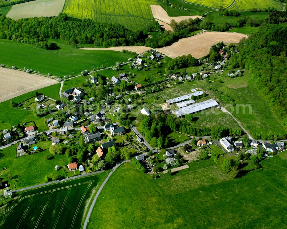 Beerwalde from the bird's eye view: Agricultural land and field boundaries surround the settlement area of the village in Beerwalde in the state Saxony, Germany