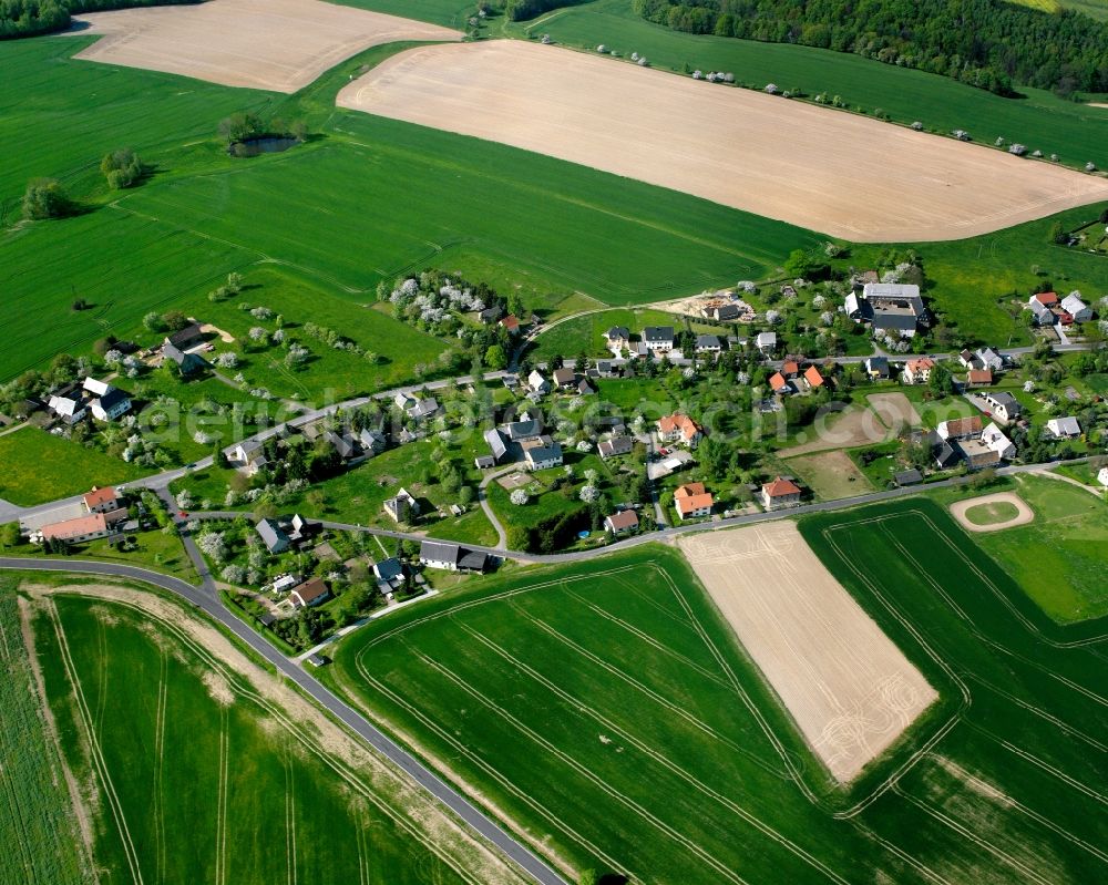 Aerial image Beerwalde - Agricultural land and field boundaries surround the settlement area of the village in Beerwalde in the state Saxony, Germany