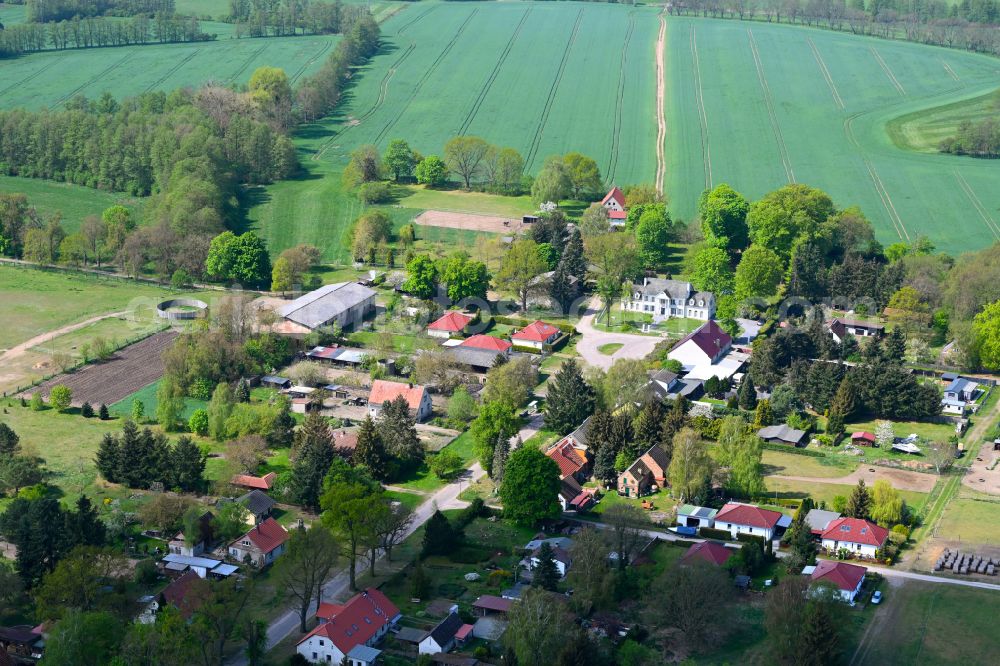 Beetz from the bird's eye view: Agricultural land and field boundaries surround the settlement area of the village in Beetz in the state Brandenburg, Germany