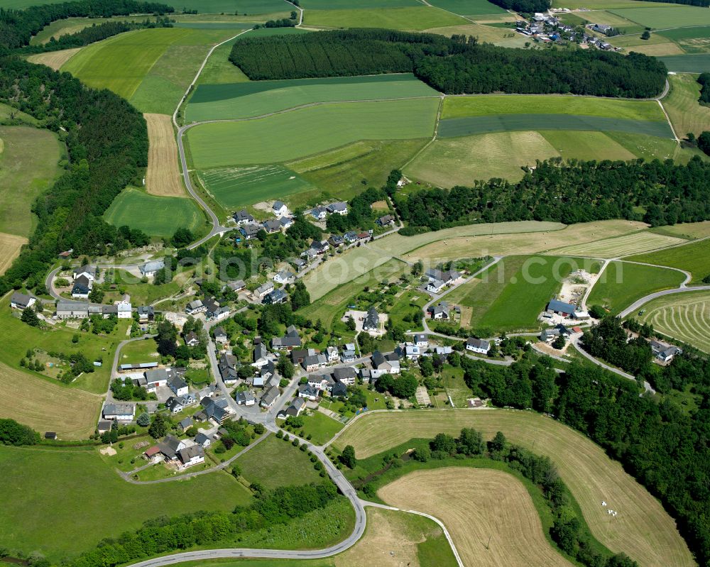 Aerial photograph Belgweiler - Agricultural land and field boundaries surround the settlement area of the village in Belgweiler in the state Rhineland-Palatinate, Germany