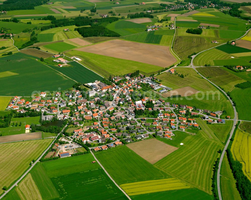 Bellamont from the bird's eye view: Agricultural land and field boundaries surround the settlement area of the village in Bellamont in the state Baden-Wuerttemberg, Germany