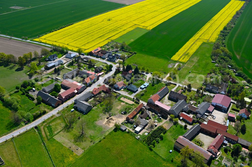 Benkendorf from above - Agricultural land and field boundaries surround the settlement area of the village in Benkendorf in the state Saxony-Anhalt, Germany