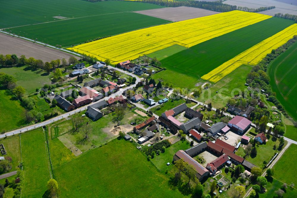 Benkendorf from the bird's eye view: Agricultural land and field boundaries surround the settlement area of the village in Benkendorf in the state Saxony-Anhalt, Germany