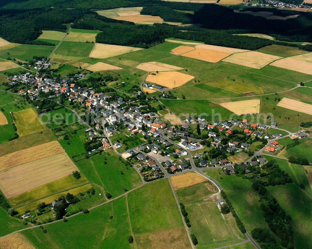 Bergen from the bird's eye view: Agricultural land and field boundaries surround the settlement area of the village in Bergen in the state Rhineland-Palatinate, Germany