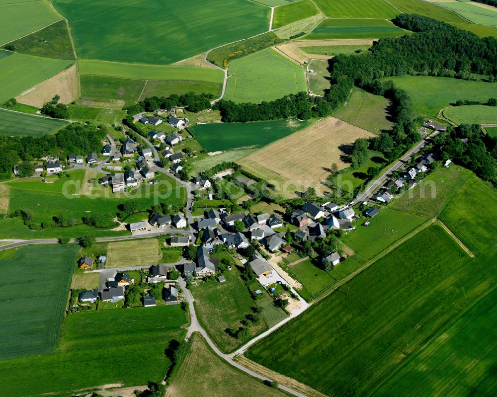 Aerial image Bergenhausen - Agricultural land and field boundaries surround the settlement area of the village in Bergenhausen in the state Rhineland-Palatinate, Germany