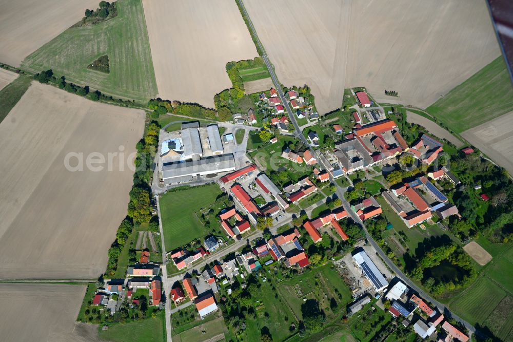 Aerial photograph Bergholz - Agricultural land and field boundaries surround the settlement area of the village in Bergholz in the state Brandenburg, Germany