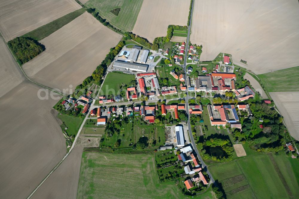 Bergholz from above - Agricultural land and field boundaries surround the settlement area of the village in Bergholz in the state Brandenburg, Germany