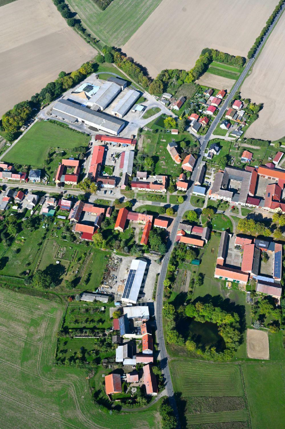 Bergholz from the bird's eye view: Agricultural land and field boundaries surround the settlement area of the village in Bergholz in the state Brandenburg, Germany