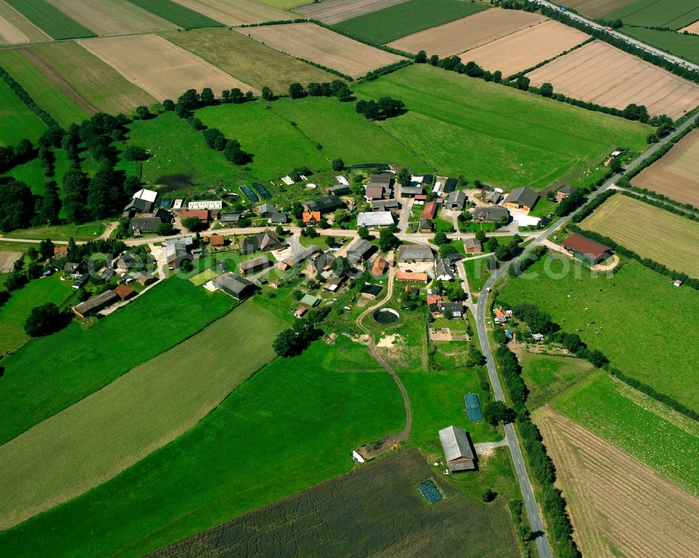 Besenthal from the bird's eye view: Agricultural land and field boundaries surround the settlement area of the village in Besenthal in the state Schleswig-Holstein, Germany