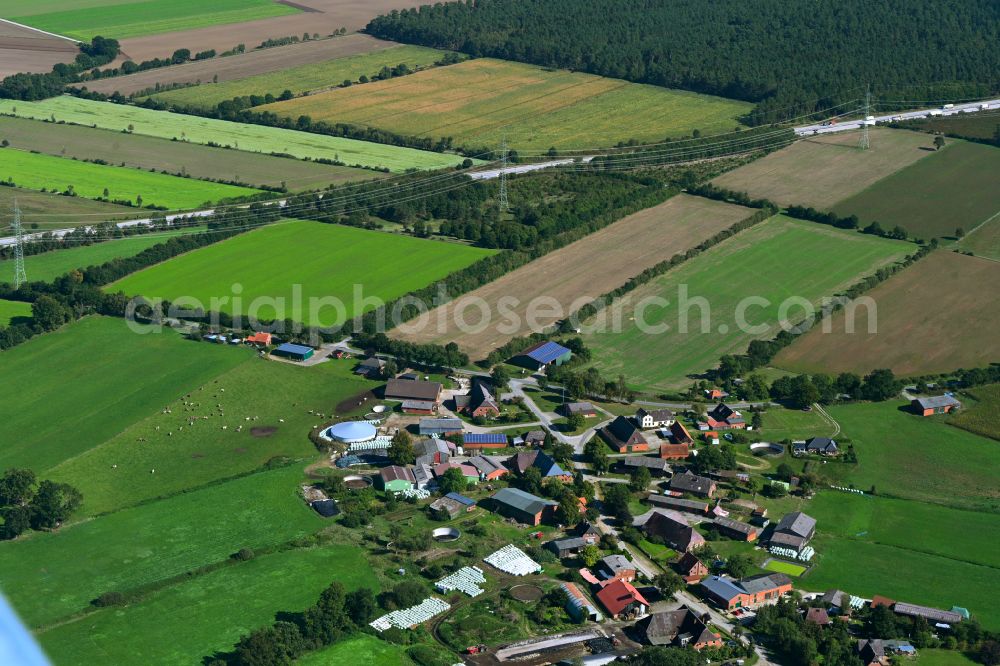 Aerial image Besenthal - Agricultural land and field boundaries surround the settlement area of the village in Besenthal in the state Schleswig-Holstein, Germany