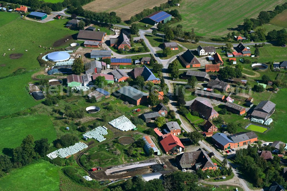 Aerial photograph Besenthal - Agricultural land and field boundaries surround the settlement area of the village in Besenthal in the state Schleswig-Holstein, Germany