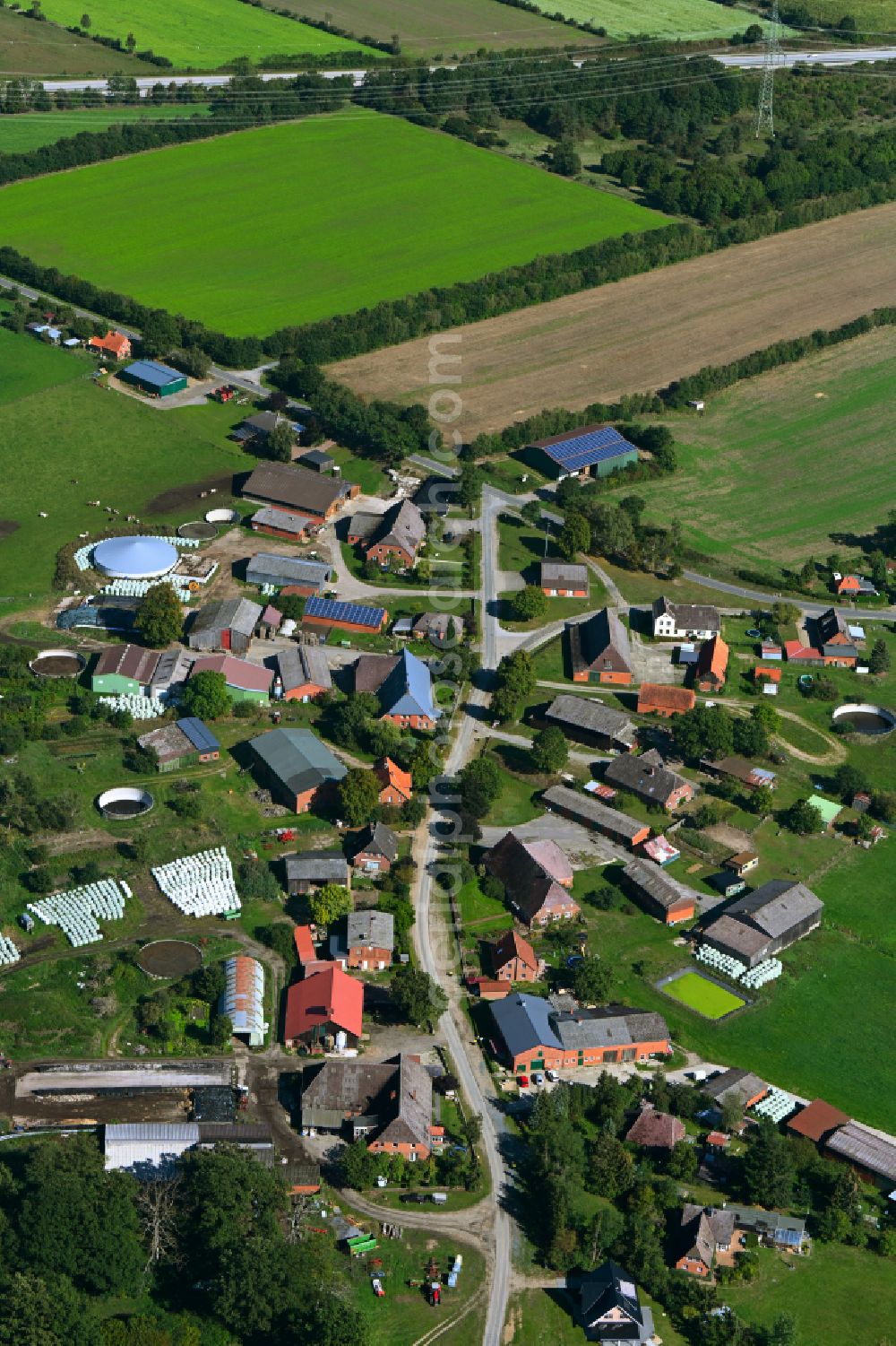 Besenthal from above - Agricultural land and field boundaries surround the settlement area of the village in Besenthal in the state Schleswig-Holstein, Germany