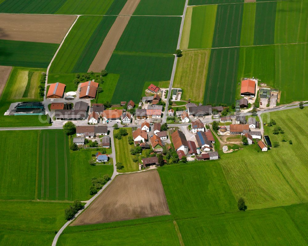 Betzenweiler from above - Agricultural land and field boundaries surround the settlement area of the village in Betzenweiler in the state Baden-Wuerttemberg, Germany