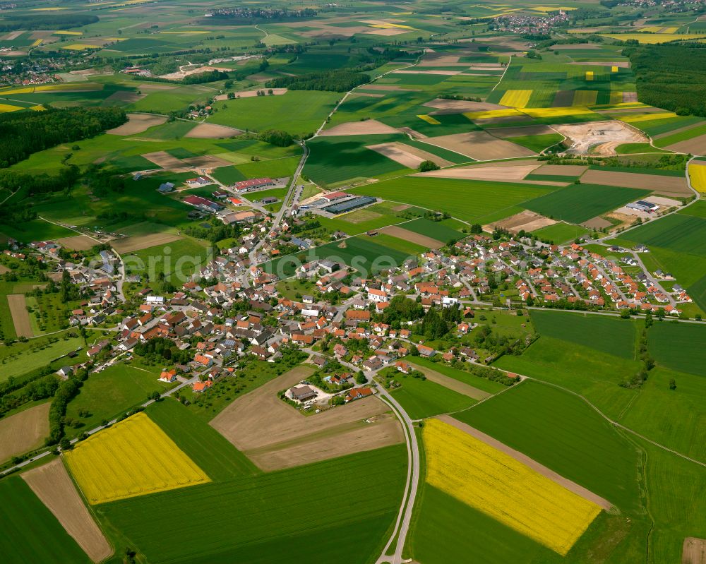 Betzenweiler from the bird's eye view: Agricultural land and field boundaries surround the settlement area of the village in Betzenweiler in the state Baden-Wuerttemberg, Germany