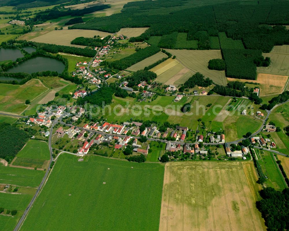 Aerial image Böhla - Agricultural land and field boundaries surround the settlement area of the village in Böhla in the state Saxony, Germany