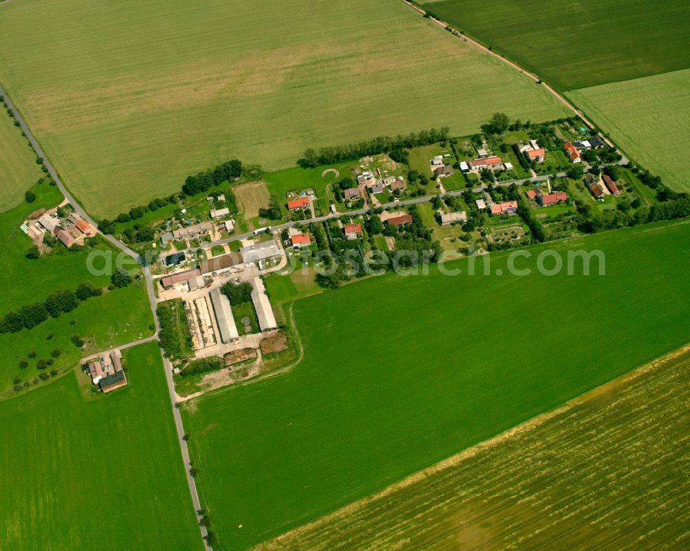 Aerial image Böhla - Agricultural land and field boundaries surround the settlement area of the village in Böhla in the state Saxony, Germany