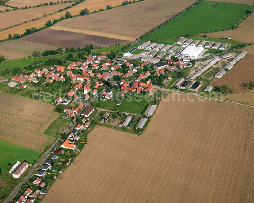 Bühne from above - Agricultural land and field boundaries surround the settlement area of the village in Buehne in the state Saxony-Anhalt, Germany