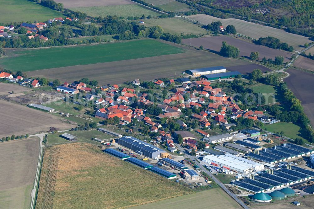 Bühne from the bird's eye view: Agricultural land and field boundaries surround the settlement area of the village in Buehne in the state Saxony-Anhalt, Germany