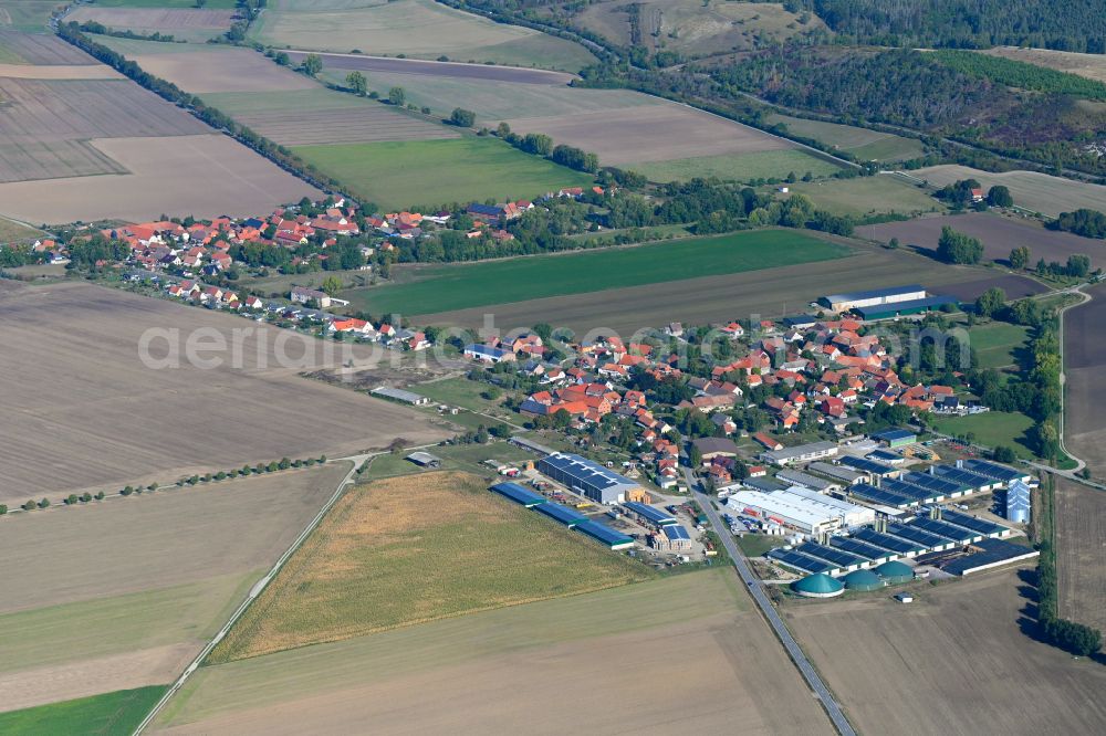 Aerial image Bühne - Agricultural land and field boundaries surround the settlement area of the village in Buehne in the state Saxony-Anhalt, Germany