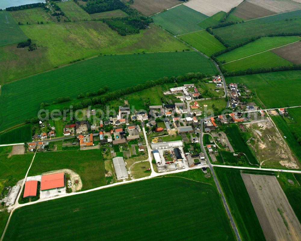 Bias from above - Agricultural land and field boundaries surround the settlement area of the village in Bias in the state Saxony-Anhalt, Germany