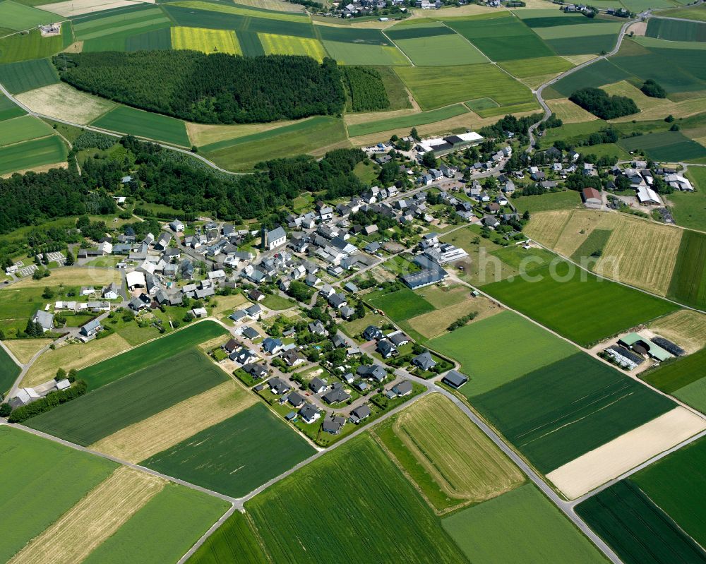 Bickenbach from above - Agricultural land and field boundaries surround the settlement area of the village in Bickenbach in the state Rhineland-Palatinate, Germany