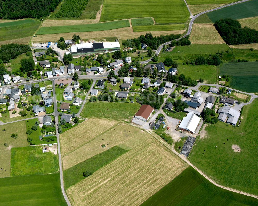 Bickenbach from the bird's eye view: Agricultural land and field boundaries surround the settlement area of the village in Bickenbach in the state Rhineland-Palatinate, Germany