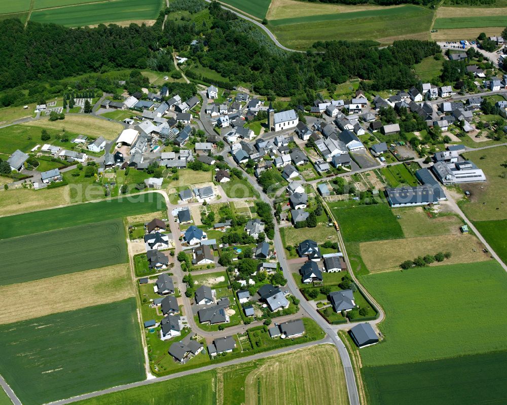 Aerial photograph Bickenbach - Agricultural land and field boundaries surround the settlement area of the village in Bickenbach in the state Rhineland-Palatinate, Germany