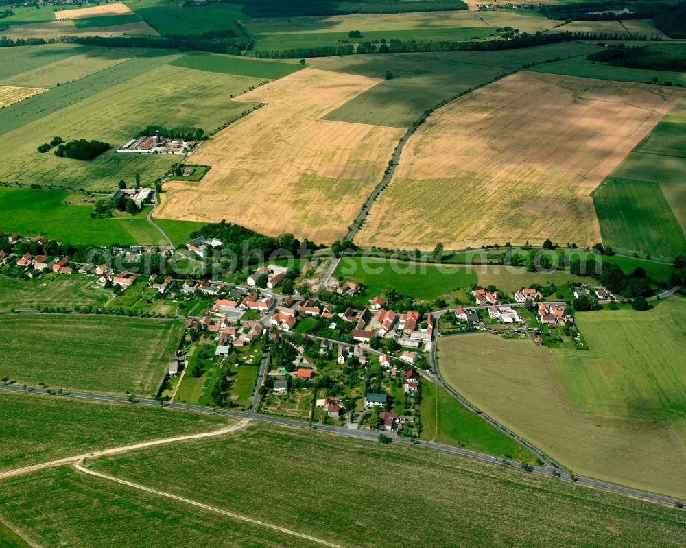 Aerial image Bieberach - Agricultural land and field boundaries surround the settlement area of the village in Bieberach in the state Saxony, Germany