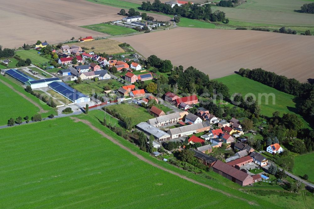 Bietegast from above - Agricultural land and field boundaries surround the settlement area of the village in Bietegast in the state Saxony-Anhalt, Germany