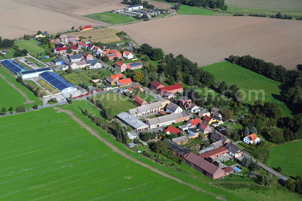 Bietegast from the bird's eye view: Agricultural land and field boundaries surround the settlement area of the village in Bietegast in the state Saxony-Anhalt, Germany