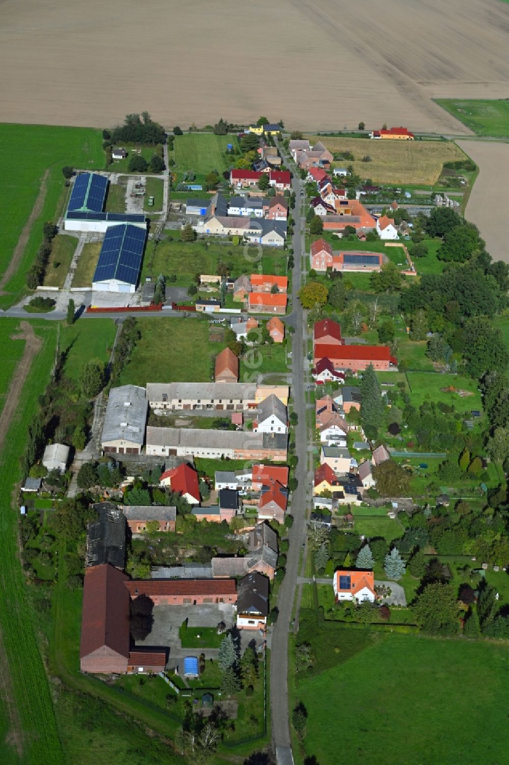 Aerial image Bietegast - Agricultural land and field boundaries surround the settlement area of the village in Bietegast in the state Saxony-Anhalt, Germany