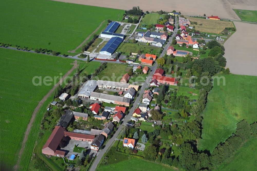 Aerial photograph Bietegast - Agricultural land and field boundaries surround the settlement area of the village in Bietegast in the state Saxony-Anhalt, Germany