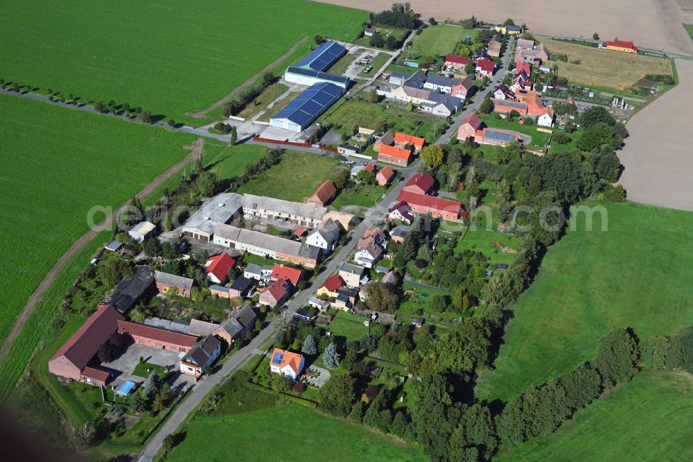 Bietegast from above - Agricultural land and field boundaries surround the settlement area of the village in Bietegast in the state Saxony-Anhalt, Germany