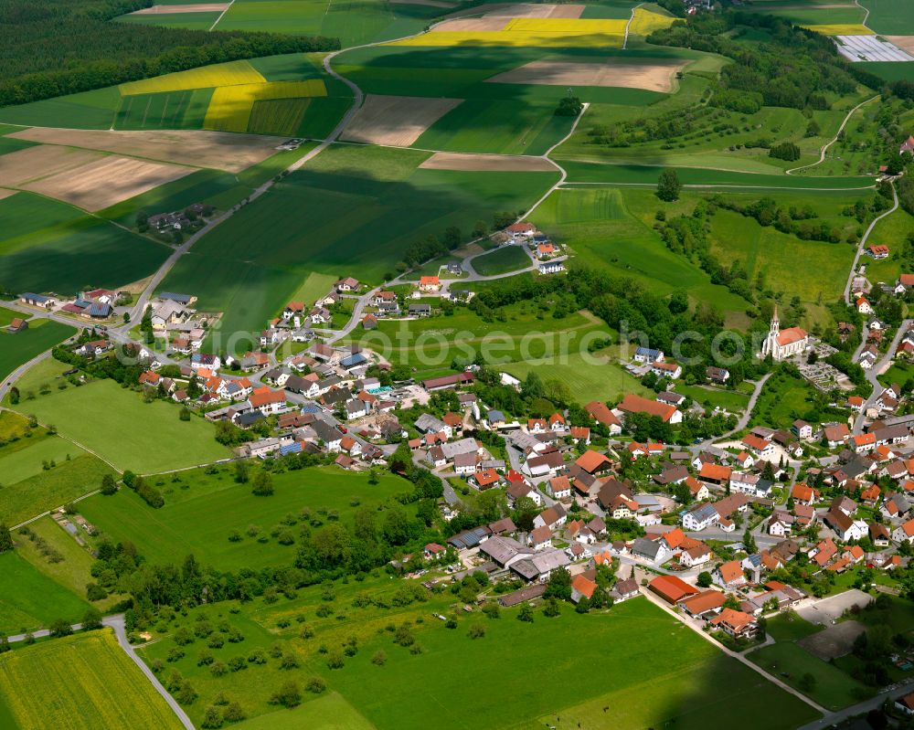 Binzwangen from above - Agricultural land and field boundaries surround the settlement area of the village in Binzwangen in the state Baden-Wuerttemberg, Germany