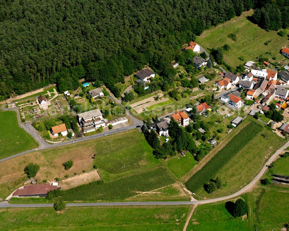 Aerial image Birkert - Agricultural land and field boundaries surround the settlement area of the village in Birkert in the state Hesse, Germany