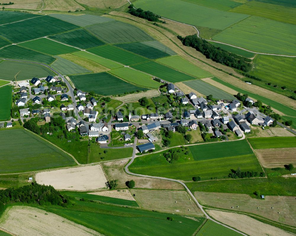 Aerial image Birkheim - Agricultural land and field boundaries surround the settlement area of the village in Birkheim in the state Rhineland-Palatinate, Germany