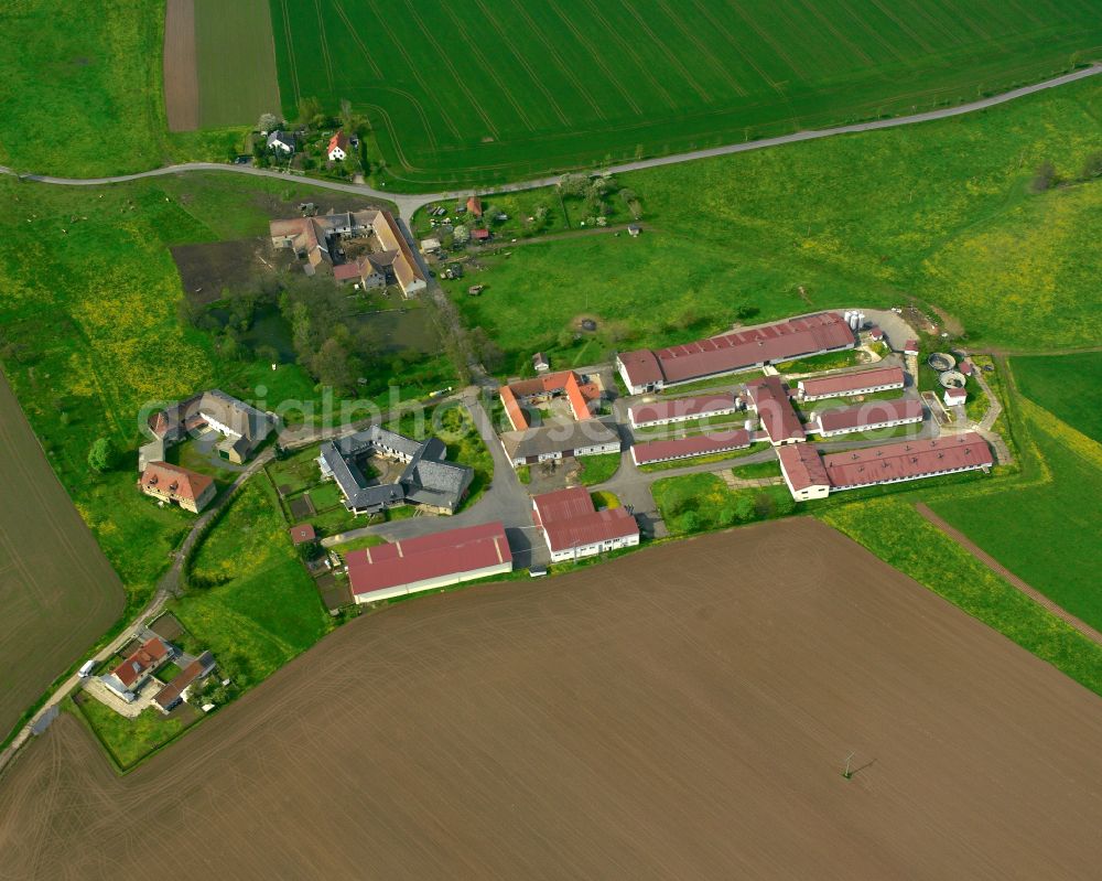 Aerial image Birkigt - Agricultural land and field boundaries surround the settlement area of the village in Birkigt in the state Thuringia, Germany